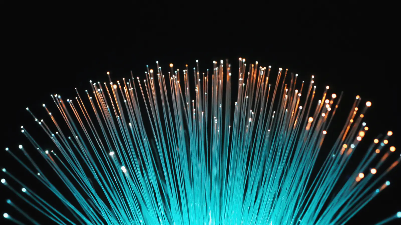 Fibre optic strands fanning out in the dark, each tipped with light