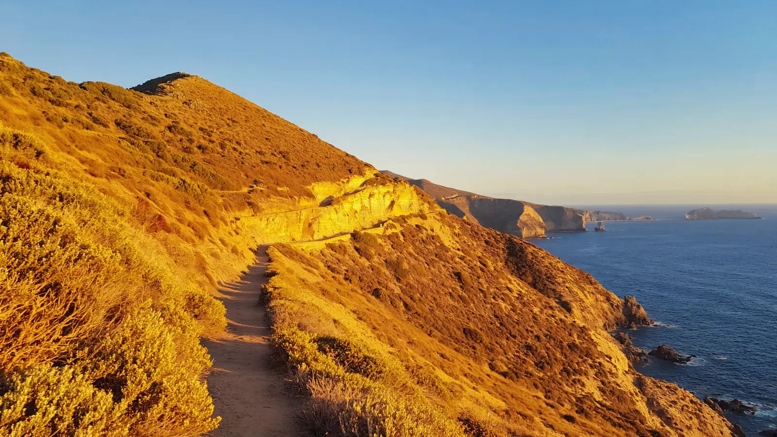A narrow trail through gold coastal scrub, high on a canyon wall above the sea